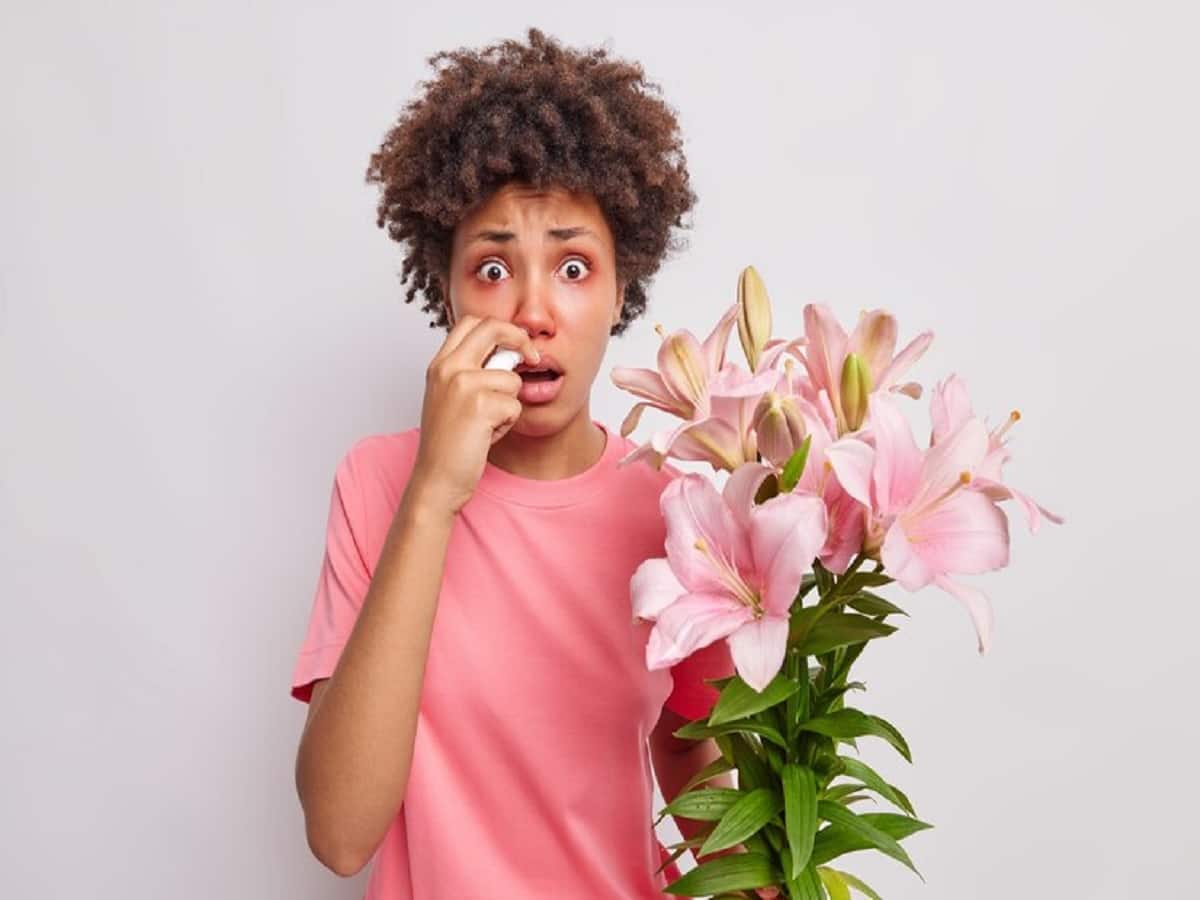 Prone To Pollen Allergies? Things You Can Do At Home To Reduce The Symptoms